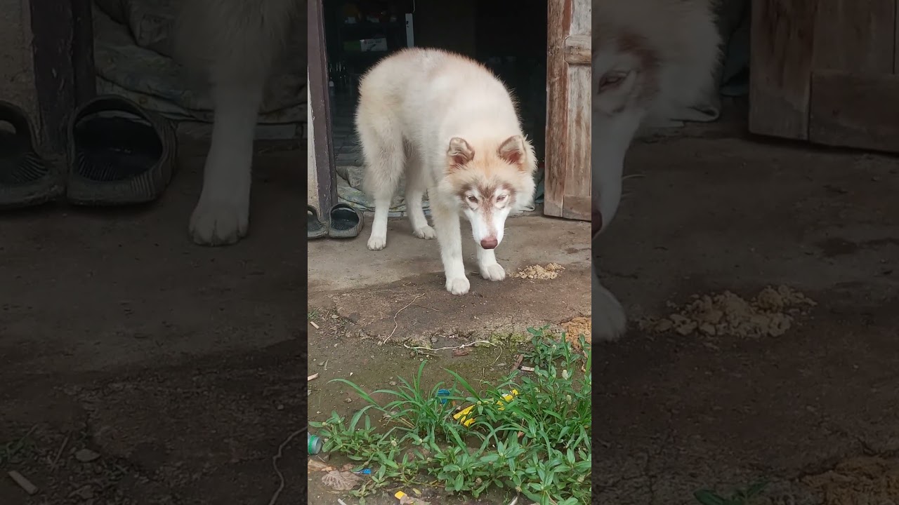 ทำตัวน่าสงสาร555🖤