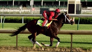 2017 Kentucky Derby: Who are the contenders