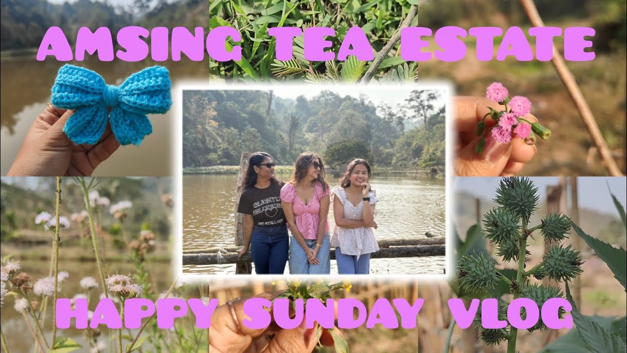 Happy Sunday at Amsing Tea Estate | Sign Language Vlogs | Guwahati, Assam 