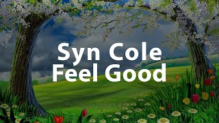 Syn Cole - Feel good