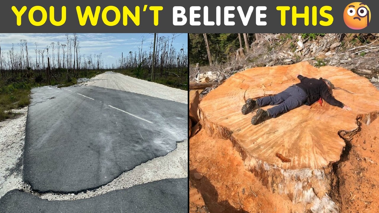 Nature’s Hidden Wonders: Photos That Redefine the Outdoors