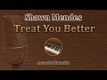 Treat You Better - Shawn Mendes (Acoustic Karaoke, Piano)