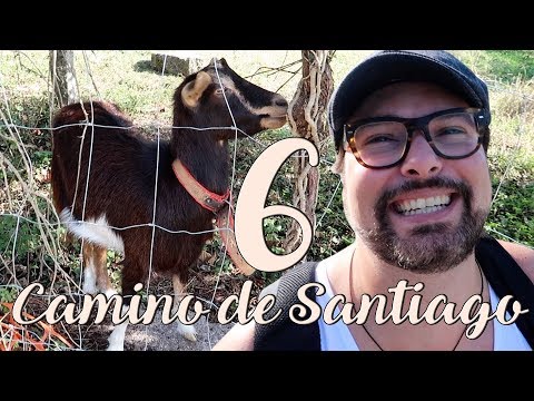 George Pop Ep 89 - Camino de Santiago 2017 - Parte 6