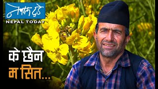 के छैन म सित ? [ The Nepal today ] Agriculture in Nepal