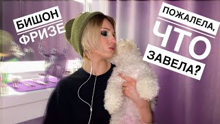 Первые месяцы с щенком || БИШОН ФРИЗЕ какой на самом деле?