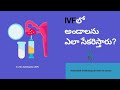 IVFలో అండాలను ఎలా సేకరిస్తారు? |Dr.RamaRaju || Krishna IVF Clinic ||