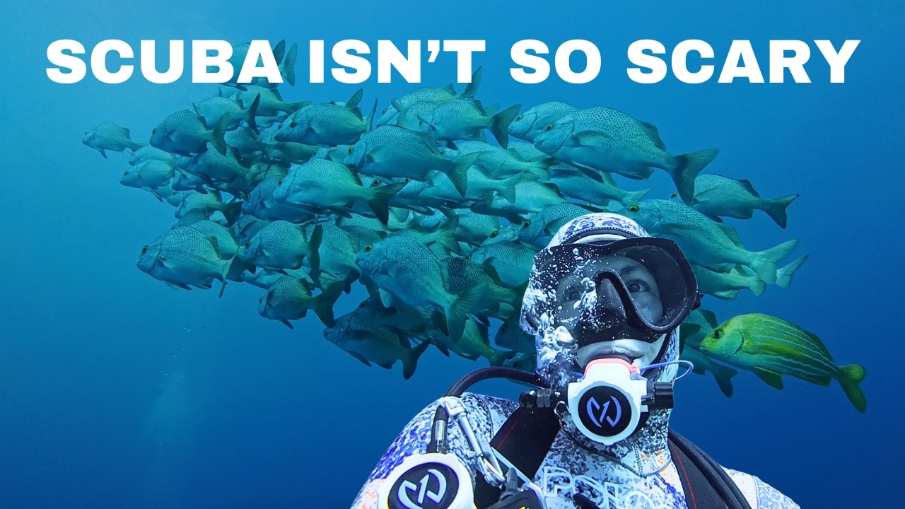 ⁣10 reasons why scuba diving isn't so scary