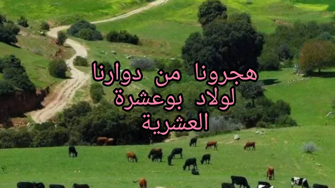 دوار ولاد لعور  سي المحجوب المدية  شا صرا و طرا  و هجرونا فالعشرية