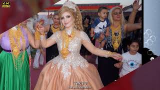 Metin & Leyla Kına Gecesi Kli̇bi̇ 2021 Tek Tv Sunar