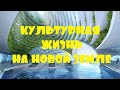 ОТЕЦ АБСОЛЮТ/ЖИЗНЬ НА НОВОЙ ЗЕМЛЕ (Культурная жизнь на новой Земле)