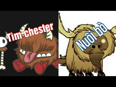 upgrade chester dont starve together upgrade chester dont starve together