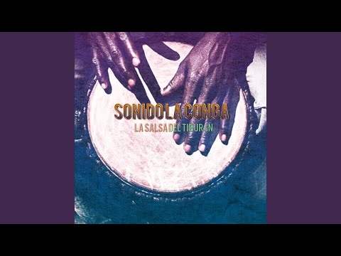 La Salsa Del Tiburón
