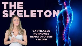 The Skeleton: Cartilage, Bones,  Hormones + More!