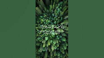 الله قنا عذاب النار يارب #اكسبلور #اكسبلور_explore #راحة_نفسية #اكسبلورر #راحة #تلاوة_خاشعة