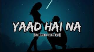 Yaad Hai Na | Arijit Singh [Slowed Reverb] Lo-Fi Song #lofimusic