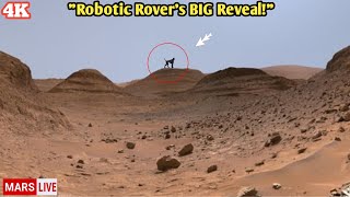 видео: NASA опубликовало новые фотографии Марса! Робот-марсоход прислал самые впечатляющие и шокирующие ... картинка: NASA опубликовало новые фотографии Марса! Робот-марсоход прислал самые впечатляющие и шокирующие ...