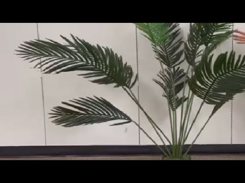 Nearly Natural 5259 5ft Paradise Palm Artificial plant Review 