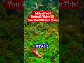 Hidden World Beneath Water 😳 | You Won’t Believe This!