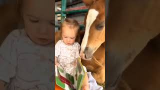 #andreasmuller #advaita #nondualism #nonduality #nondualiteit #awareness #awakening #horse #