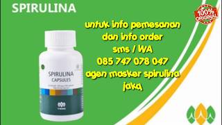 085747078047 HARGA masker spirulina ASLI per-kapsul JAKARTA