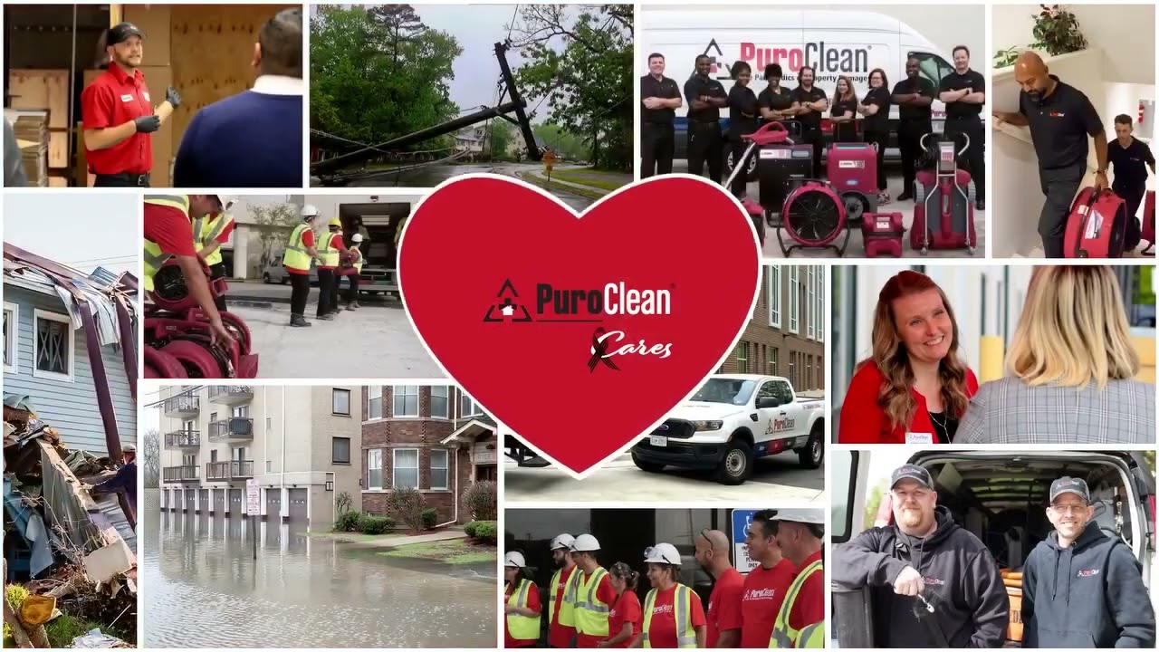 Hurricane Helene - PuroClean of Melbourne