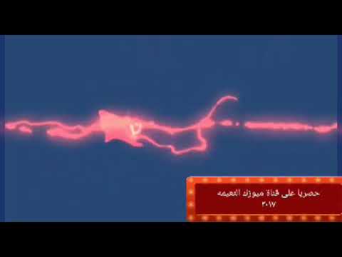 يامايه يامايه مزمار حرب 6 اكتوبر مزمار العبور بشكل جديد وغيارات عريض ناااار شغل هيفرتك ديجهات مصر