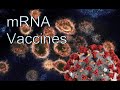 mRNA Vaccines and Next Generation Testing (Please Stop the Ride)