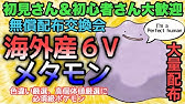 6 17アプデ対応 海外産メタモン簡単入手方法 この8桁のパスワードで誰でも海外産メタモン交換できます ポケモン剣盾 Youtube 6 17アプデ対応 海外産メタモン簡単入手方法 この8桁のパスワードで誰でも海外産メタモン交換できます ポケモン剣盾 Youtube