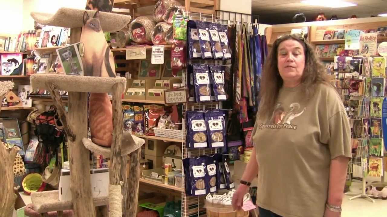 Wisconsin Gift Store With More! Diane & Her Rat Jazz at the Wild Bird