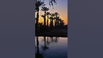 ( فسبحان الله حين تمسون ) - القارئ محمد اللحيدان