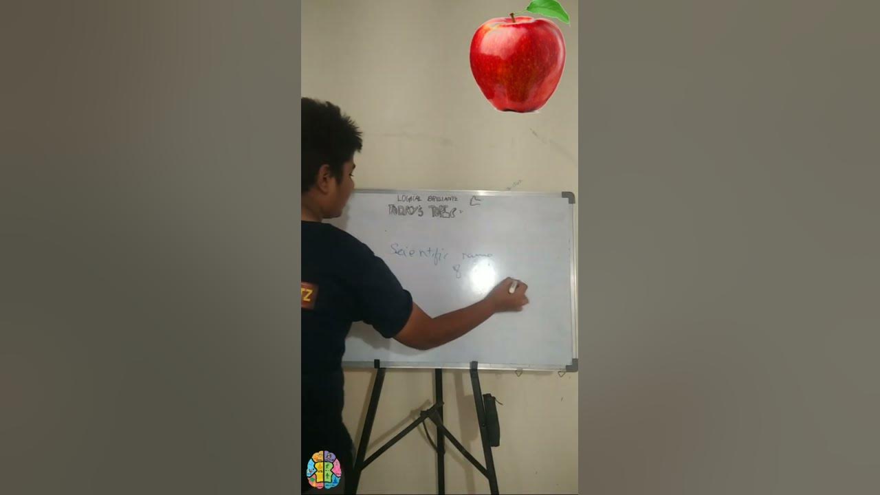 scientific-name-of-apple-scientific-names-of-fruits-1-youtube