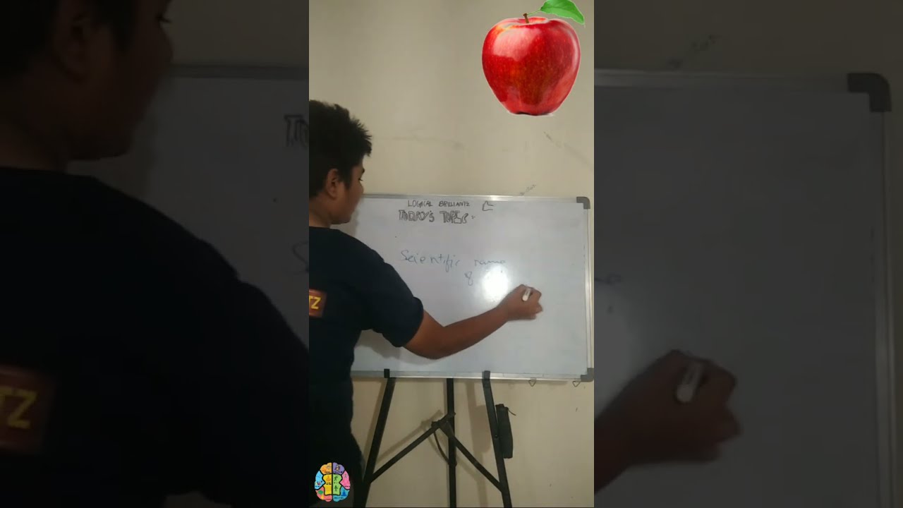Scientific Name Of Apple Scientific Names Of Fruits 1 YouTube Scientific Name Of Apple Scientific Names Of Fruits 1 YouTube