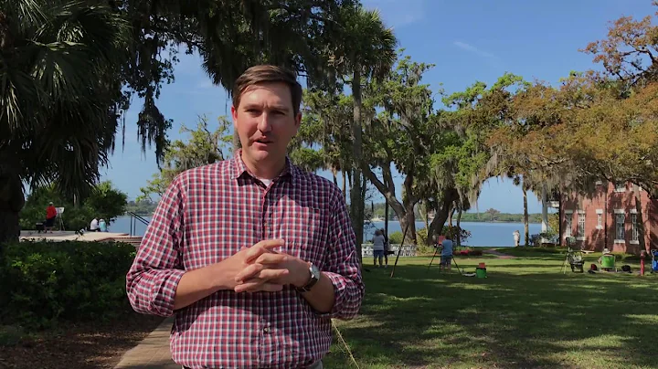 Florida In Focus - Eastern Screech Owl
