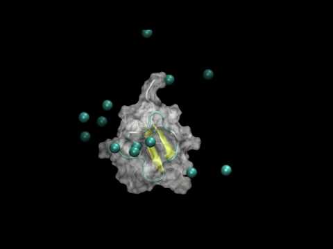 Vidéo: L'antivenimique Comme Outil Pour Améliorer La Capacité Neutralisante De L'antivenin Crotalique: Une étude Avec La Crotamine