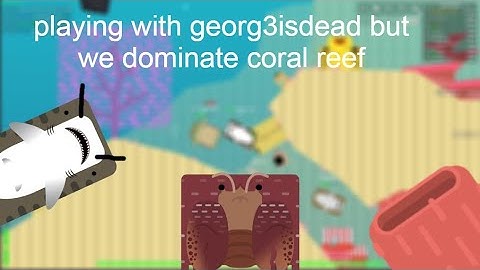 playing with georg3isdead but we dominate coral reef | deeeep.io
