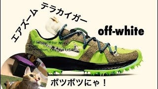 off-white × NIKE zoom Terra kiger ズームテラカイガー5！