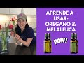 Usos y Beneficios de los Aceites esenciales doTERRA: Oregano y Melaleuca (Aceite de Palo)