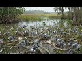 Florida Released Robotic Rabbits to Kill Pythons — What Happened Next Is INSANE