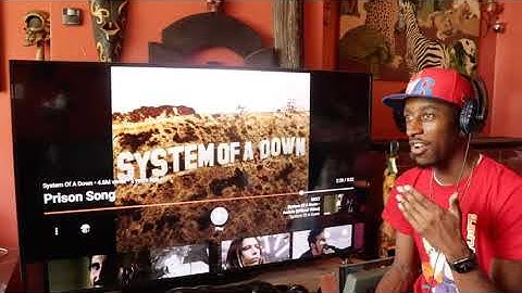 System Of A Down - Prison Song | Reaction