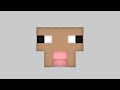 Minecraft Perfect Loop
