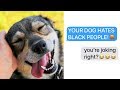 r/EntitledParents | "YOUR DOG IS RACIST!" (Reddit Stories)