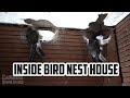 Inside bird nest house in koh kong  ches sak bird nest house