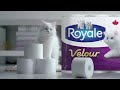 Royale Velour Royale Velour