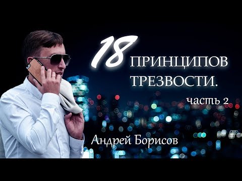 Лечение наркомании и алкоголизма.18 принципов. 2 часть. Андрей Борисов.