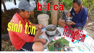 Một ngày mưa gió bão bùng cả nhóm đi chài lưới bắt cá, và sinh tồn trên cánh đồng 