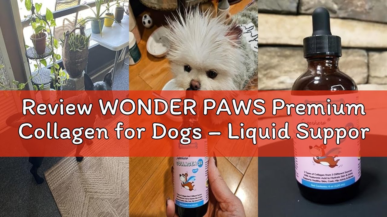 Review WONDER PAWS Premium Collagen for Dogs – Liquid Support for Skin, Coat, HIPS & Joints – with H