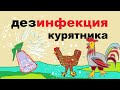 Дезинфекция курятника. Готовимся к осени.