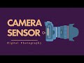 Camera Basics Quiz