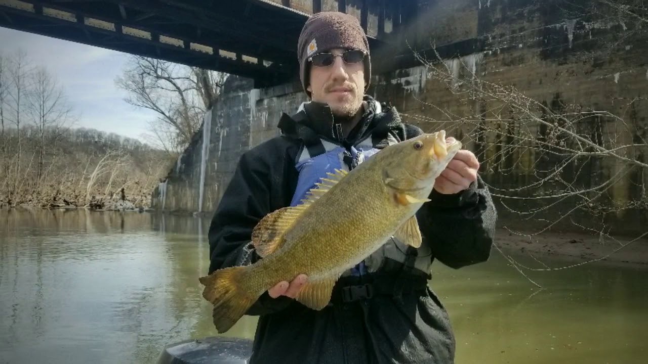 Upper Potomac River Smallmouth - YouTube