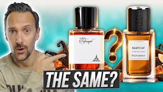 Paris Corner Rifaaqat: 20$ YSL Babycat Dupe That Smells Great?
